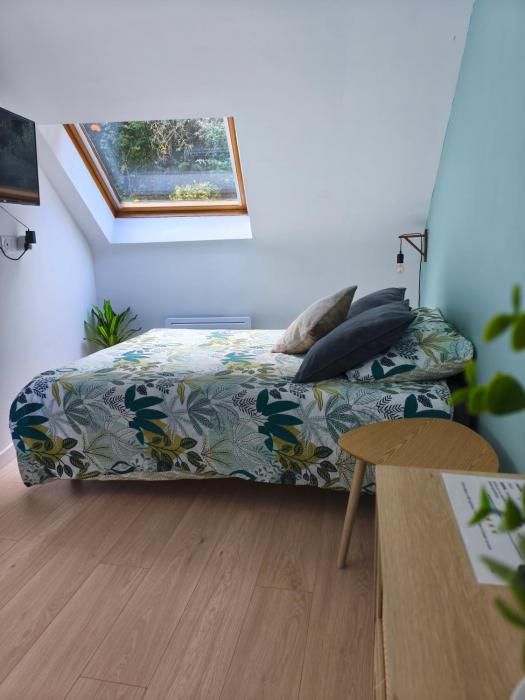 Cosy Studio