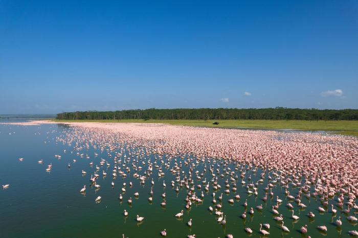 Lake Elmenteita Serena Camp