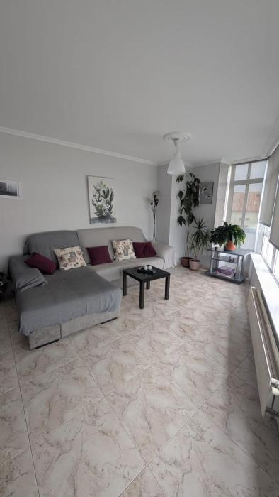 Alojamiento Camiño Real