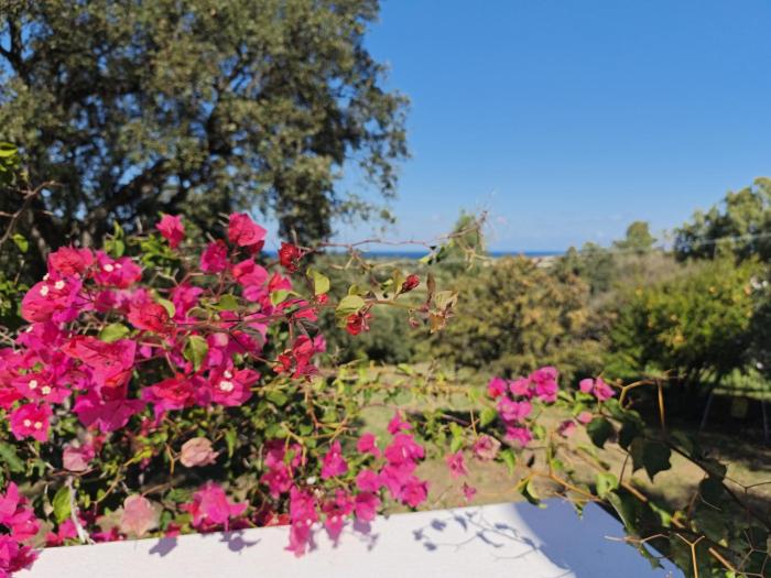 Villa vista mare