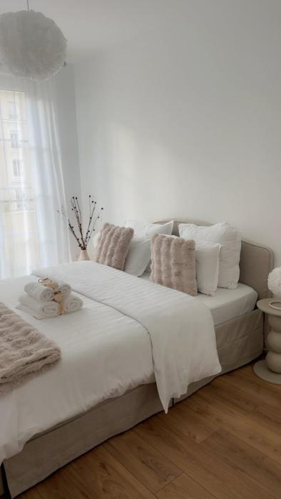 STARRY NIGHT, Disneyland