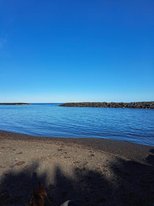El jardin de Valle de Guimar