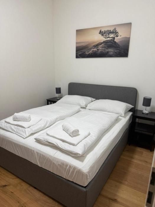 City Vienna Hirsch Apartment