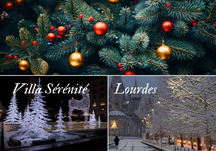 Villa Sérénité appartement au centre ville n 5