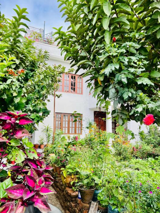 Himalayan Tranquil Stay