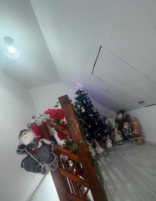 Dream House Porumbacu