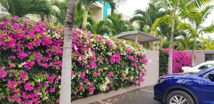 Coconut Palm Retreat