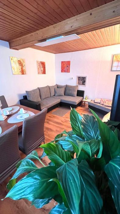 Ferienhaus zwischen Bach und Luther mit Sauna