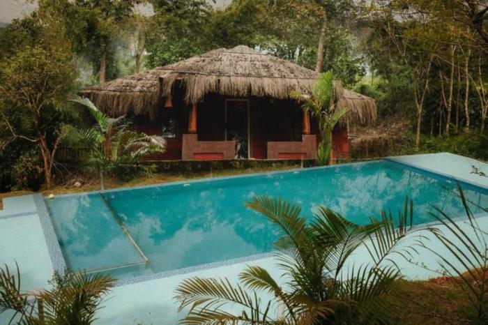 Misty Night Wayanad Pool Resort