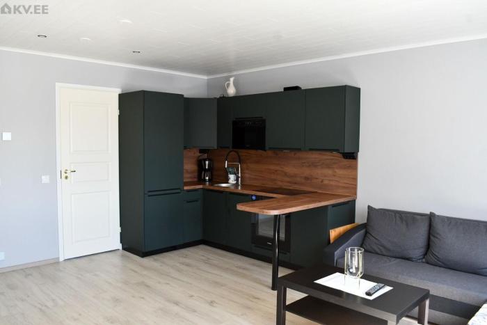 Laeva apartment