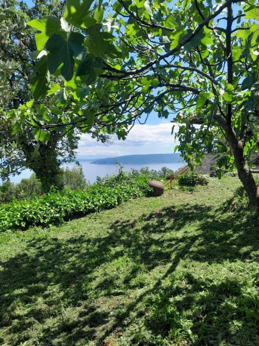 Dreamview studio apartment