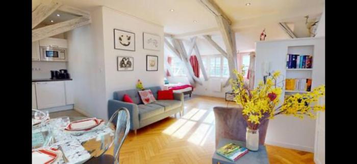 le nid des tanneurs Colmar centre