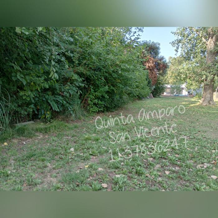 Quinta Amparo San Vicente