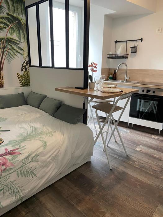 CLIMATISÉ appartement design hypercentre Gare & espresso offert