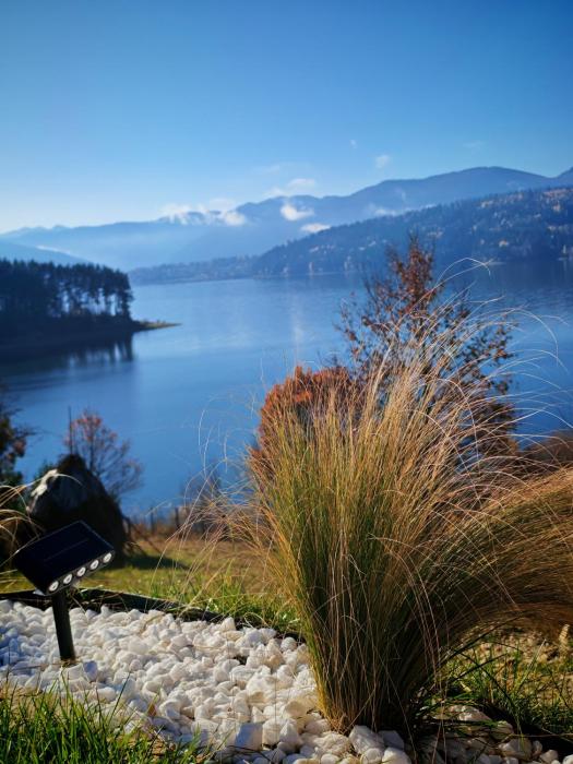 Moon Lake Bicaz - Aurora Garden