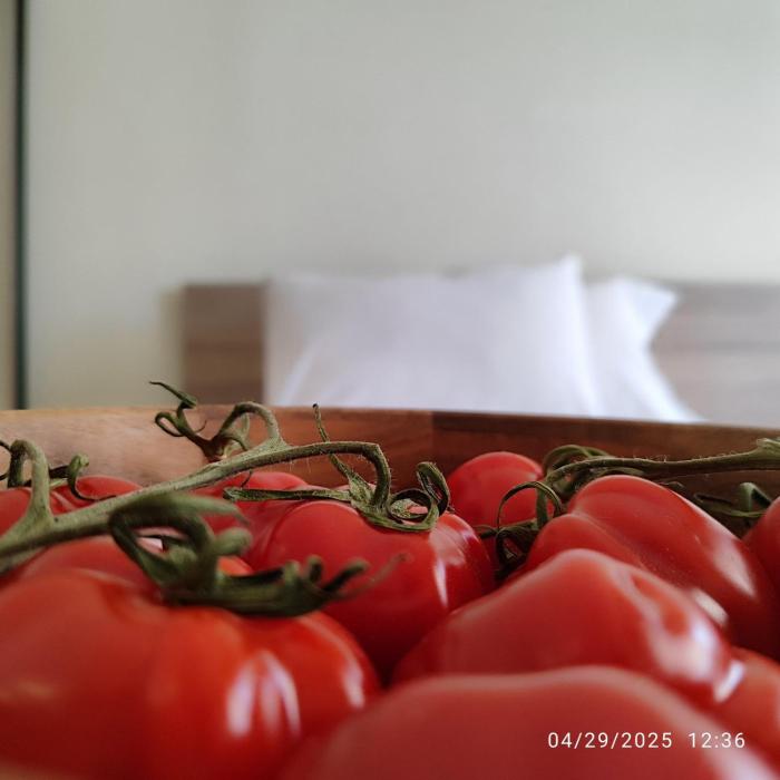 Mariettas Luxury for 5