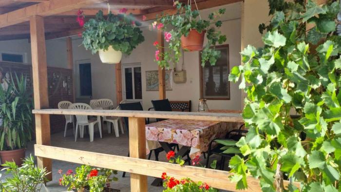 Apartments in Balatonlelle 51893