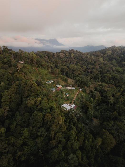 Finca Renacer - Jungle Lodges