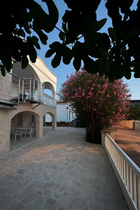 Apartment in Vir - Insel Vir 42973