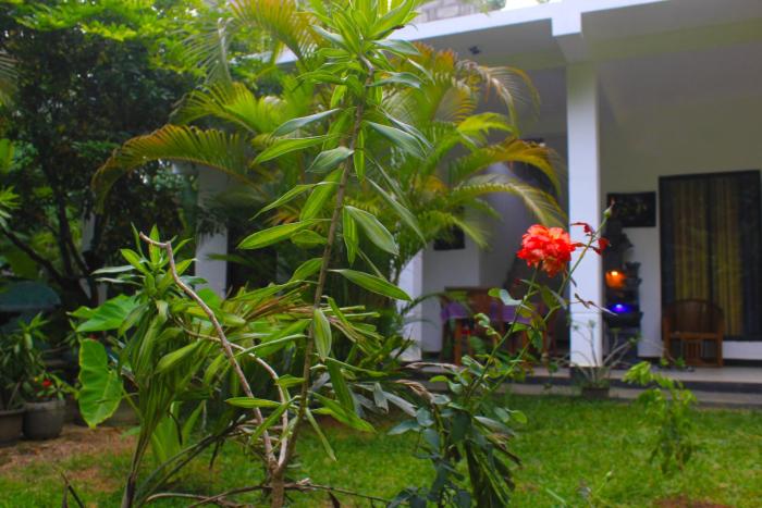 Sigiriya Mana B&B