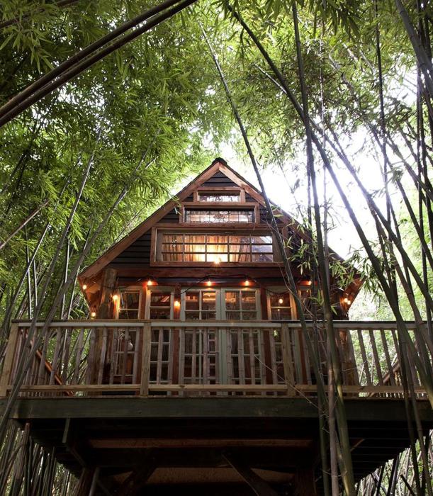 Cozy Alpaca Tree House Rental in the Bamboo Forest in Atlanta, Georgia