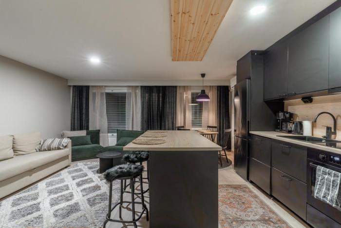 Arctic Glow Apartment