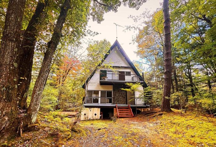 Kawa No Mori Villa Karuizawa - Ghibi-Like Enchanted Riverside Moss Garden Forest Retreat
