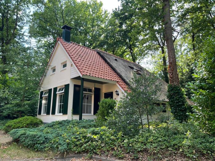 Koolmees - Between the trees!