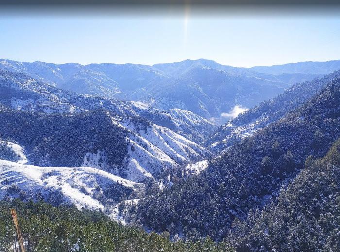 Hotel Royal Cedar Simla