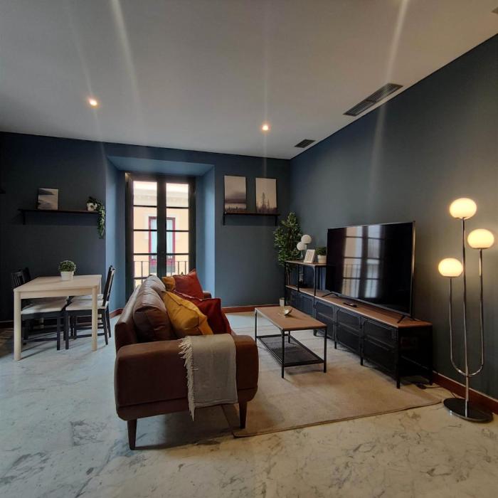 Luxury apartment in city center of seville