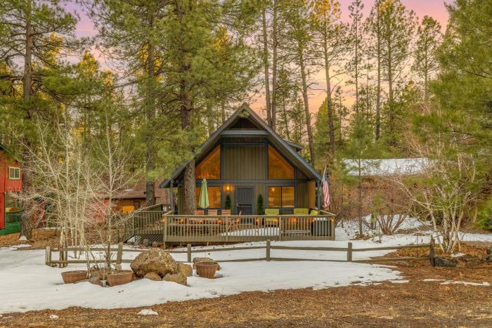 Stylish Cozy Cabin Retreat in Munds Park