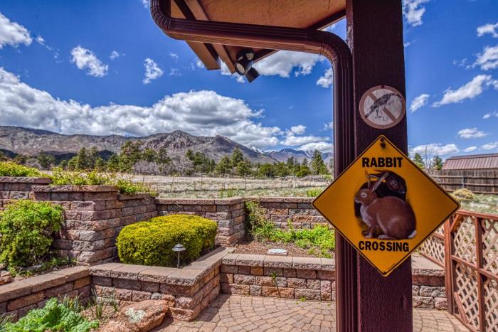 BunnyLand Lodge Panoramic Mt. Views Fantastic Backyard Patio Scenic Location in Flagstaff