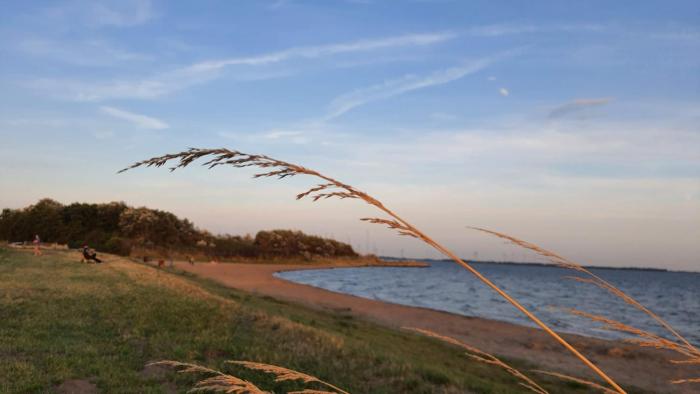 Holiday Home Rietvogel