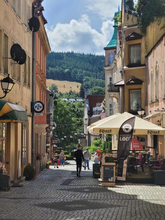 Apartament Czekoladowy Zdrój