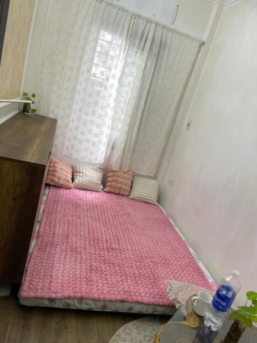 Tây Hồ Tulip201 Homestay