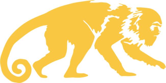 Nosara Samara, 2 BR, Jungle View, Fiber-Optic wifi