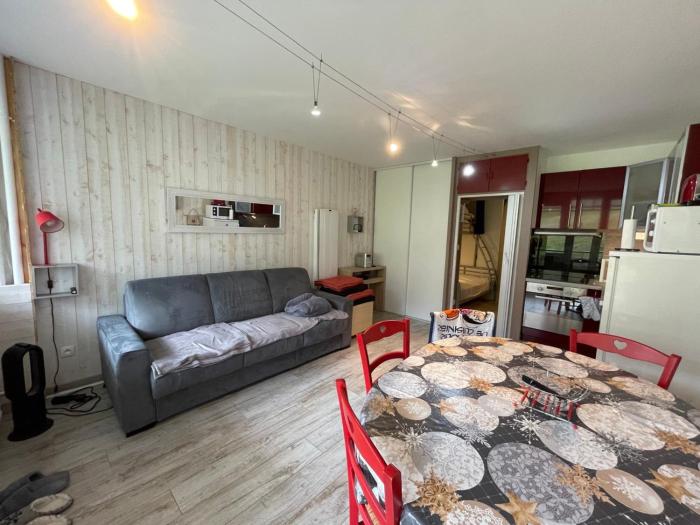 Studio cabine confort 6 pers, animaux admis, Gourette - FR-1-859-34