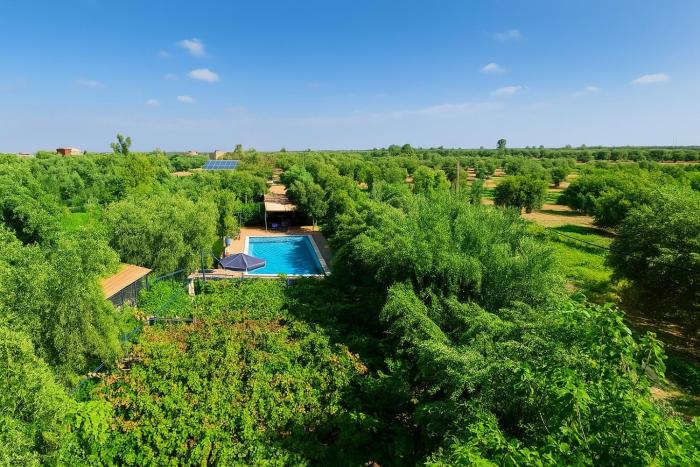 Eco Farm Tayssir Marrakech