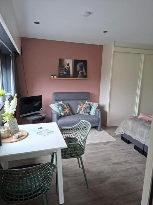 Sfeervolle 2 persoons studio in Bakkeveen
