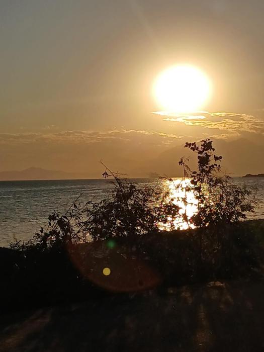 Natureza e conforto na Praia da Brisa