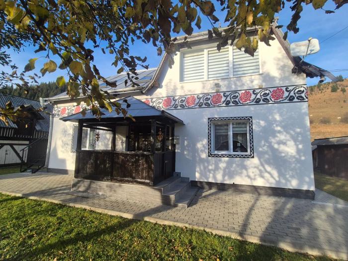 Casa Dumitru si Elena Ciocanesti Bucovina