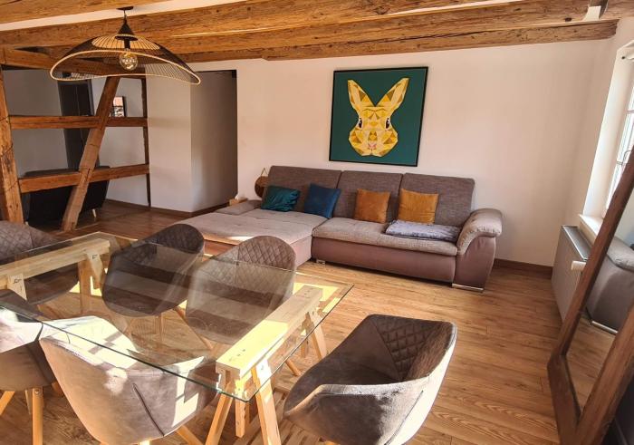 Spacious 100sqm apartment - 40sqm living room - private parking near Strasbourg