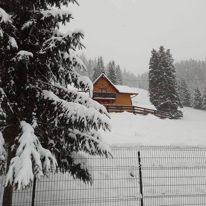 Casa Aurici Vatra Dornei