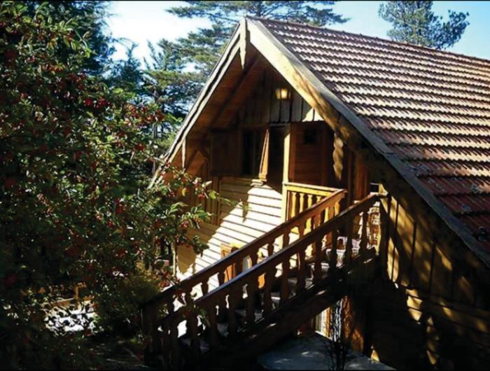 Complejo Los Abedules