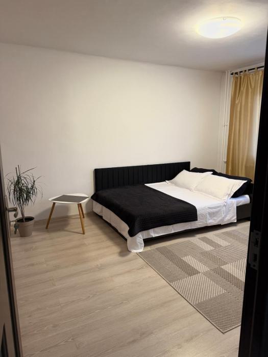 Apartament Densia in Craiova close to the center