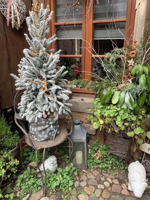 Gîte de caractère au calme , proche quartier historique, Au Merlenchanteur
