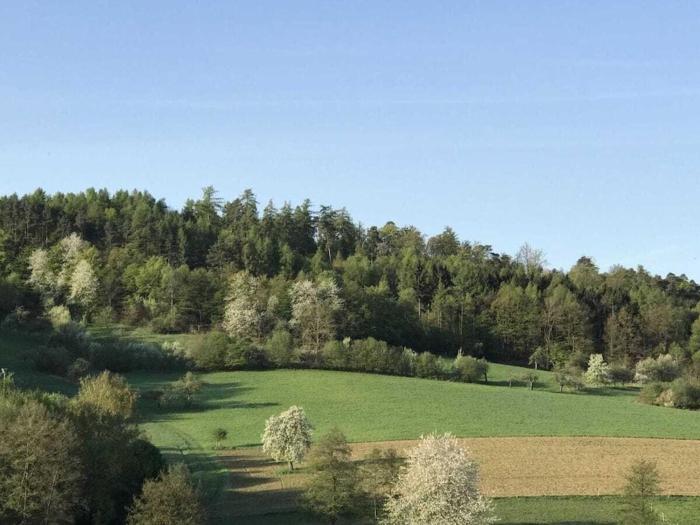 Spessart Romanticism