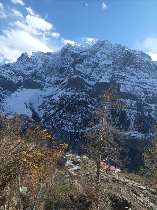 Snow Peaks View Homestay