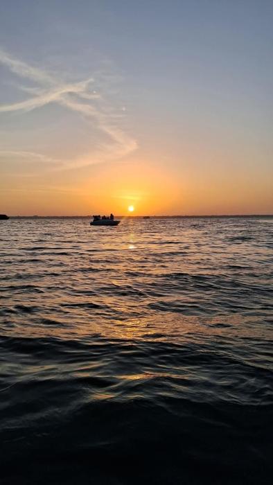 Birdwatcher Shikara Boating