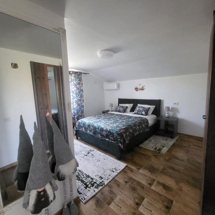 Pensiunea Balta Lazar